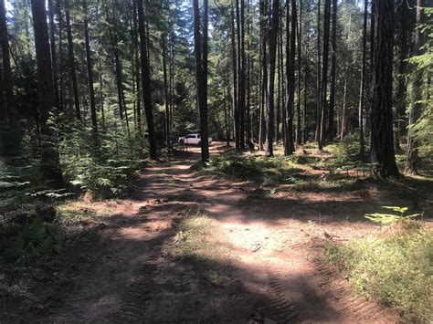 The Real Kind Of Forest Camping - Hipcamp in Camas Valley, Oregon