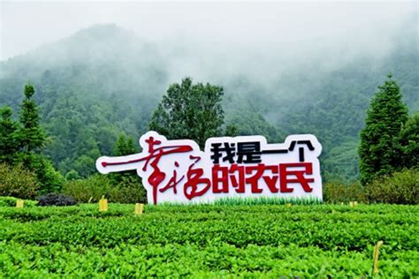 湄潭：绚丽多姿的茶文化 - 当代先锋网 - 市州县新闻