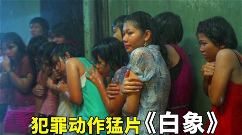 白象(2011年美国电影)_搜狗百科