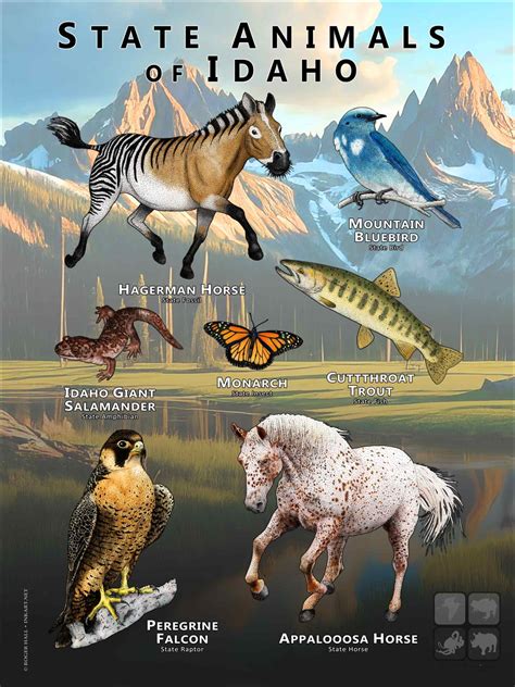 Hawaii State Animals Poster Print