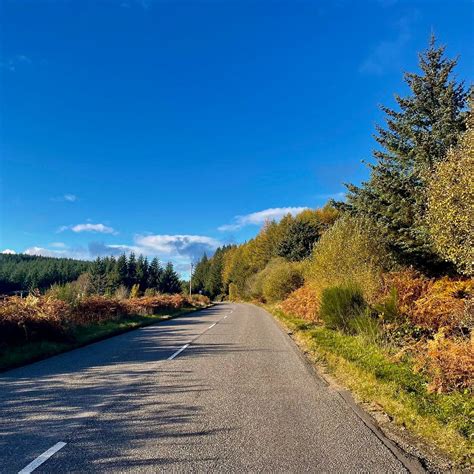 DURRIS FOREST (2025) All You Need to Know BEFORE You Go (with Photos ...