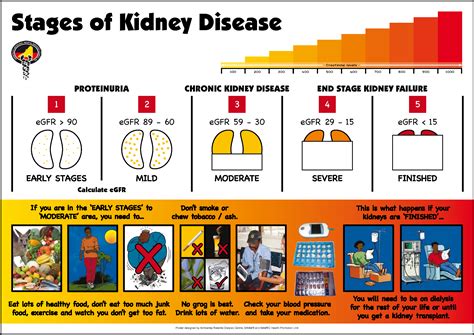 Chronic Kidney Disease Stages
