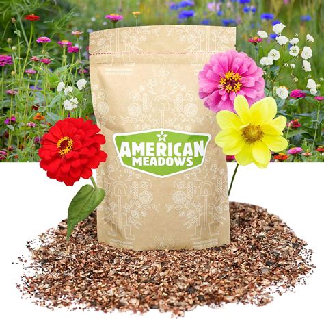 Watch Julie Meadows Exclusive Videos