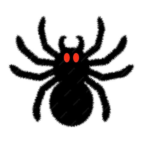 Premium Vector | Black big scary spider isolated on white background ...