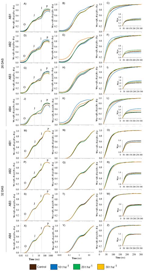 Artisanal Biochar Application: Enhancing Sandy Soil Fertility and Rice ...