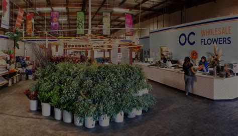 OC Wholesale Flowers | Gallery