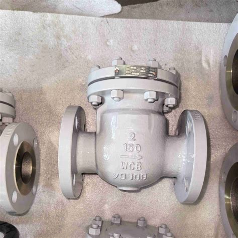 BS 1868 Check Valve, 2 Inch, CL 150 LB, ASTM A216 WCB, RF | Vervo
