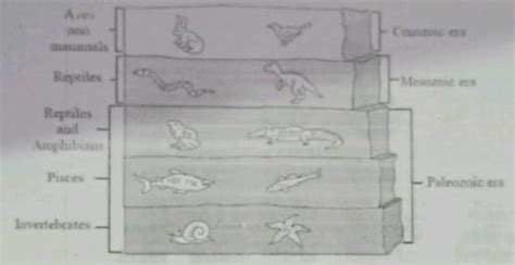 explain the following diagramplease tell me fast it's urgent ...