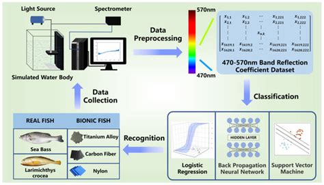 Recognition of Underwater Materials of Bionic and Natural Fishes Based ...