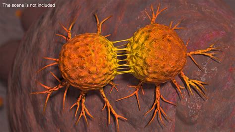 3D Cancer Cell Dividing for 3D Print model | 3D Molier International