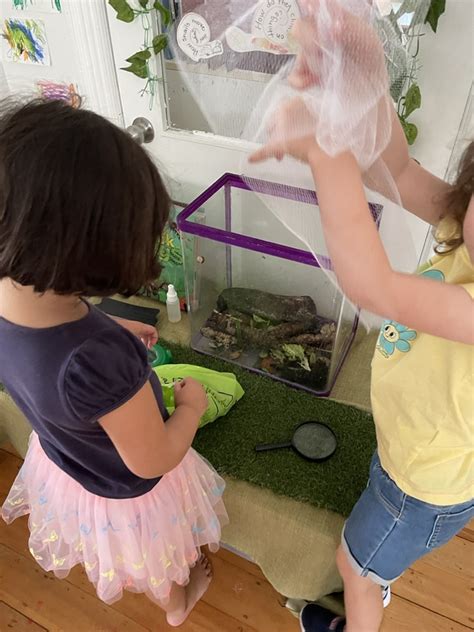 Image result for Snails Learning