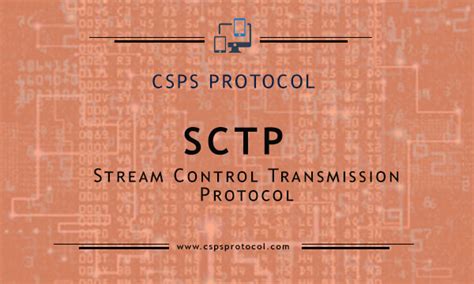 Image result for Sctp Protocol Tutorial