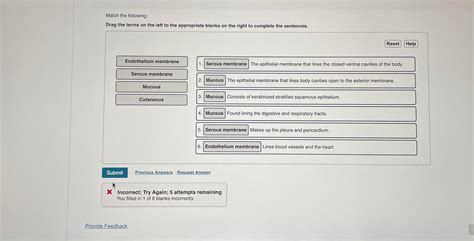 Solved Match the following:Drag the terms on the left to the | Chegg.com