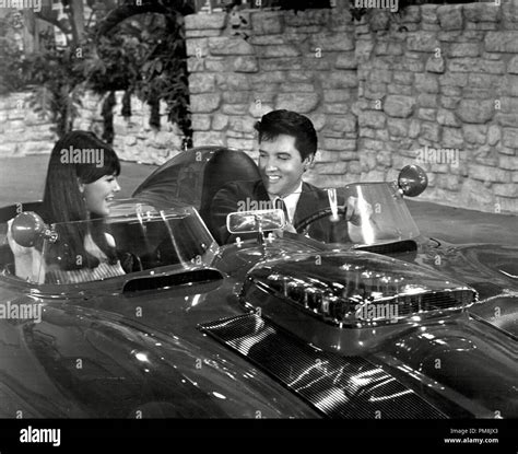 Clambake elvis presley hi-res stock photography and images - Alamy