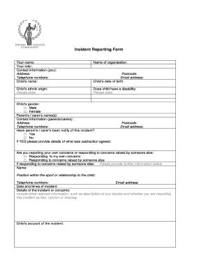 Safeguarding Report Example - Fill Online, Printable, Fillable, Blank ...