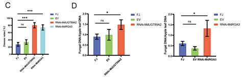 MIR396d-p3 Negatively Regulates Apple Resistance to Colletotrichum ...