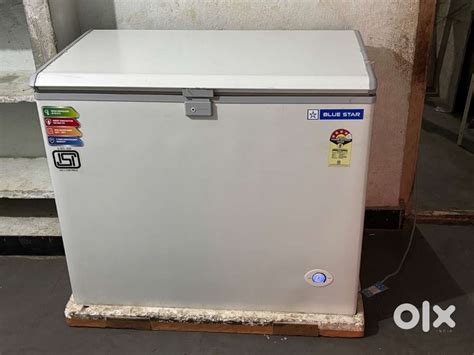 Blue star hard top freezer fridge - Fridges - 1805590782