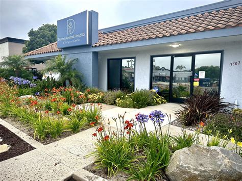 Dorado Animal Hospital & Surgical Center (@doradoanimalhosp ...