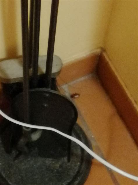 INN & ART MADEIRA (Canico) - Hotel Reviews, Photos, Rate Comparison ...