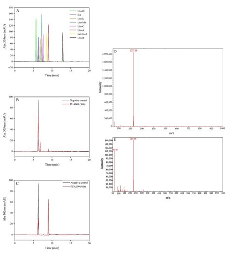 Lactococcus garvieae FUA009, a Novel Intestinal Bacterium Capable of ...