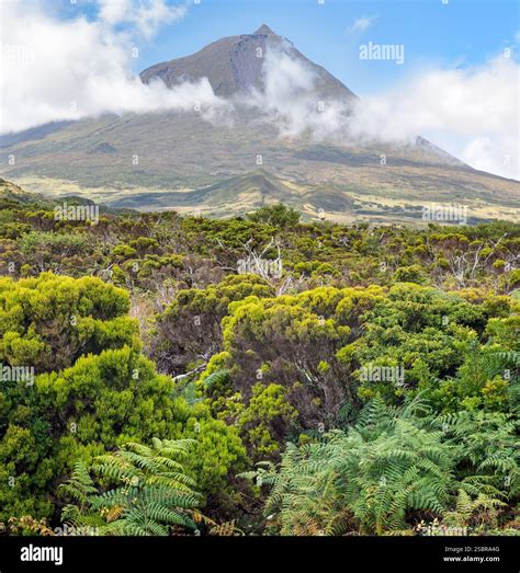 Volcano Mount Pico at Pico island, Azores Stock Photo - Alamy