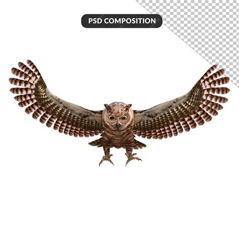 Premium PSD | Owls 3d rendering