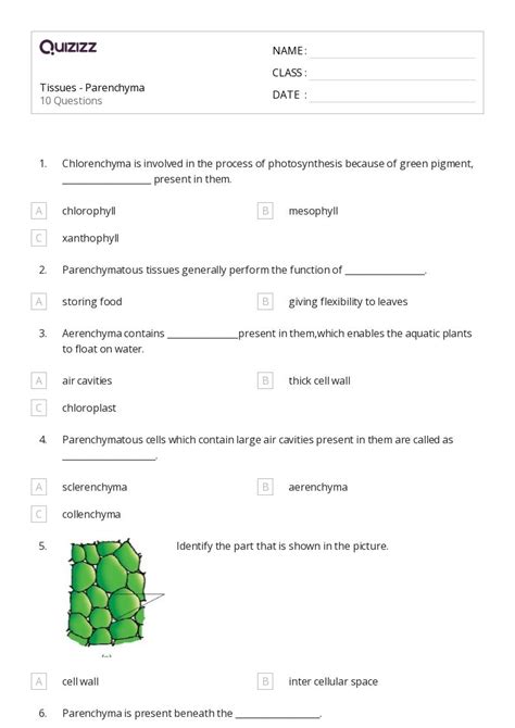 50+ tissues worksheets for 9th Class on Quizizz | Free & Printable
