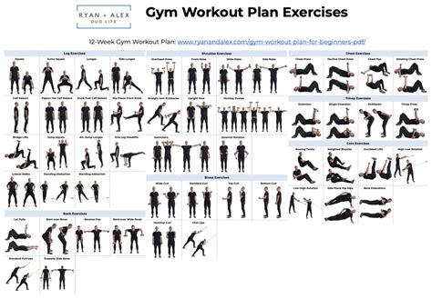 Exercise Plan Example 的图像结果