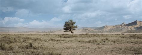 Image result for World Creator Tutorial