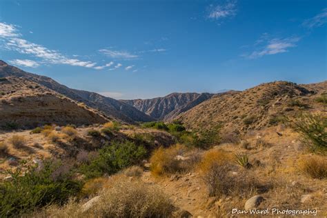 Big Morongo Canyon Preserve ~ Fall 2020 – BB Photography Studio