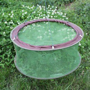 Amazon.in: Buy Round Fishing Crawdad Trap Cast Net Crab Fish Crawfish ...