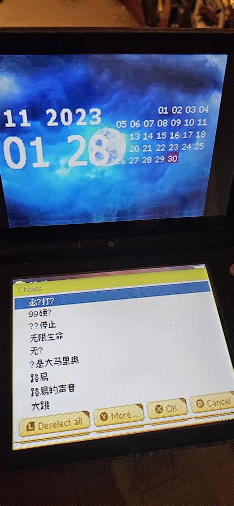 My r4 card cheats are all in Chinese : r/flashcarts
