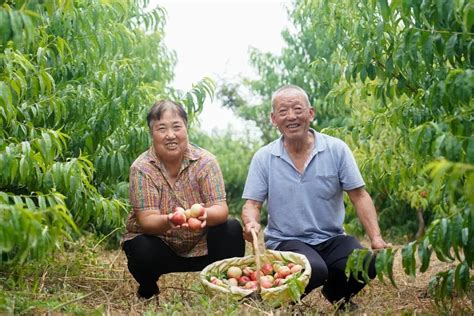 新闻|陕西咸阳：消费帮扶富了寨子村 - 知乎