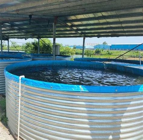 Recirculating Aquaculture System - RAS Aquaculture System Trader ...