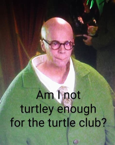 The Master of Disguise Turtle guy by BrickMaster-SK93 on DeviantArt