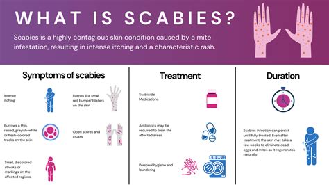 Scabies Prevention