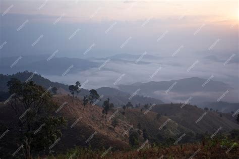 Beautiful Morning View 的图像结果