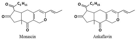 Monascin and Ankaflavin of Monascus purpureus Prevent Alcoholic Liver ...