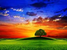 Best Nature Background by 5 Best Nature Wallpapers A Photo Show Of Best Pictures Best Nature Background
