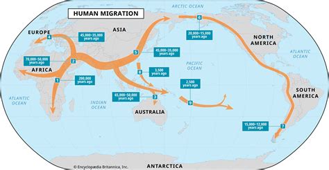 Image result for Human Migration Explained