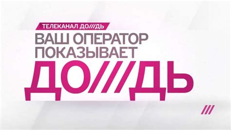 Чем на самом деле оказался либеральный телеканал «Дождь» | Брянские новости