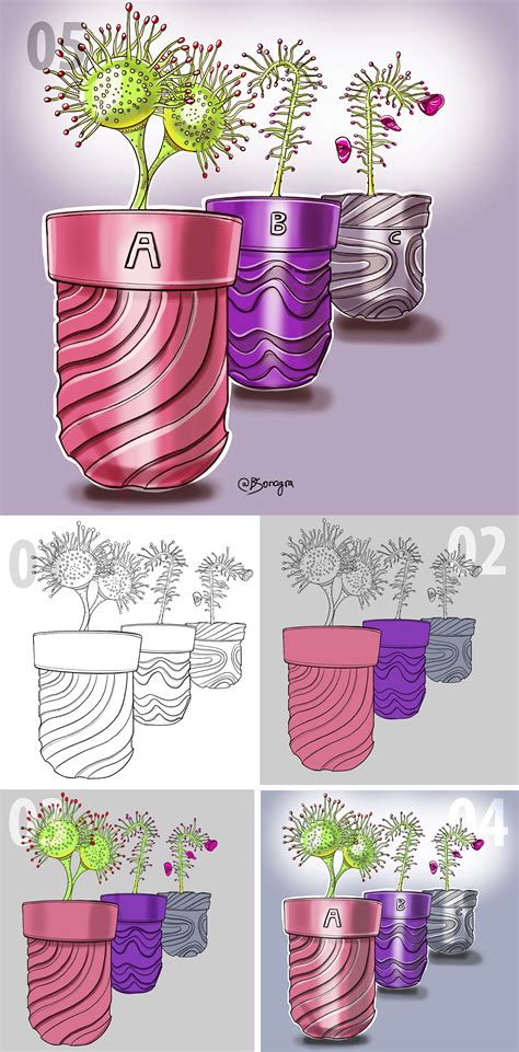 Processing Sketch Tutorial 的图像结果