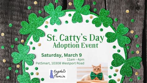 St Cattys Day Adoption Event, PetSmart (Louisville, KY), Anchorage ...