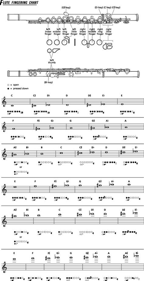 Flute Fingering Chart Example Free Download