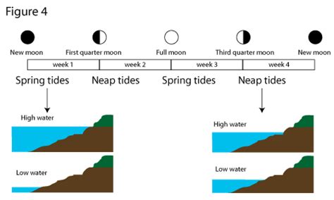 Image result for Compression Algorithms Compared