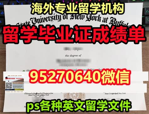 留学生证书名称应该填什么-留学学位认证证书名称填什么 - 美国留学百事通