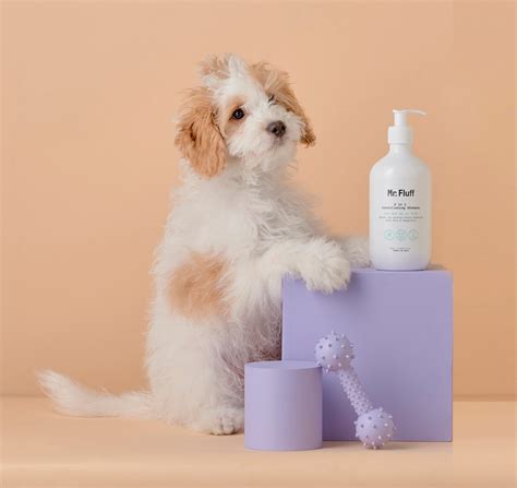 luxury grooming – WOOFER&PURRLENSKY