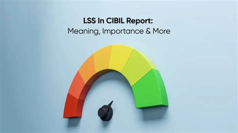 What is LSS(Loan Status Segment) In CIBIL Report: Complete Info
