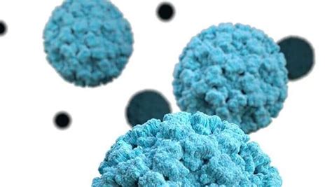 Amid Covid pandemic, US grapples with Norovirus. Know cause, symptoms ...