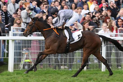 Zwei Gruppe-Highlights, ein Auktionsrennen und 692.000 Euro an ...